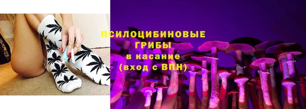 мдпв Вязники