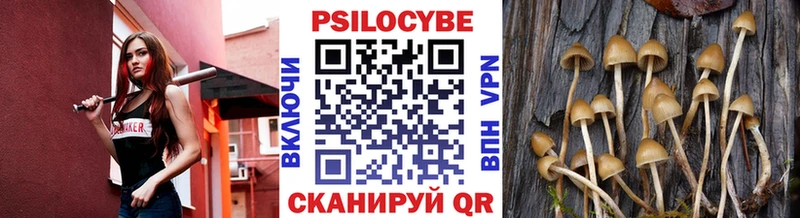 Галлюциногенные грибы мухоморы  хочу   Зуевка 